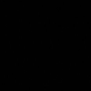 Meet your Posher, Juney